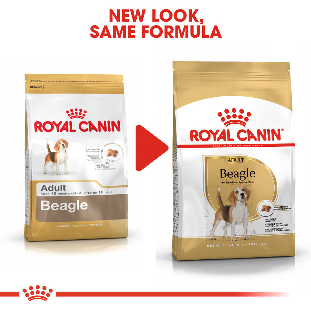 Royal Canin suaugusiems bigliams Beagle adult, 3 kg kaina ir informacija | Sausas maistas šunims | pigu.lt