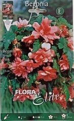 Бегония ампельная, розовая, 3 шт. цена и информация | Луковицы цветов | pigu.lt