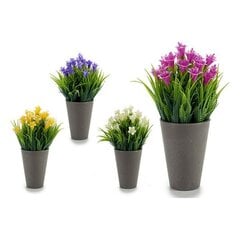 Dekoratyvinis augalas Pilka (11 x 20 x 11 cm) (11 x 22 x 11 cm) kaina ir informacija | Dirbtinės gėlės | pigu.lt