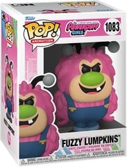 Funko POP! Powerpuff Girls – Fuzzy Lumpkins kaina ir informacija | Žaidėjų atributika | pigu.lt