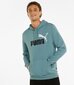 Puma vyriškas džemperis, žalias kaina ir informacija | Sportinė apranga vyrams | pigu.lt