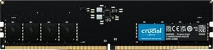 Operatyvioji atmintis Memory DIMM 32GB DDR5-4800/CT32G48C40U5 Crucial kaina ir informacija | Operatyvioji atmintis (RAM) | pigu.lt