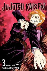 Komiksas Manga Jujutsu kaisen Vol 3 kaina ir informacija | Komiksai | pigu.lt