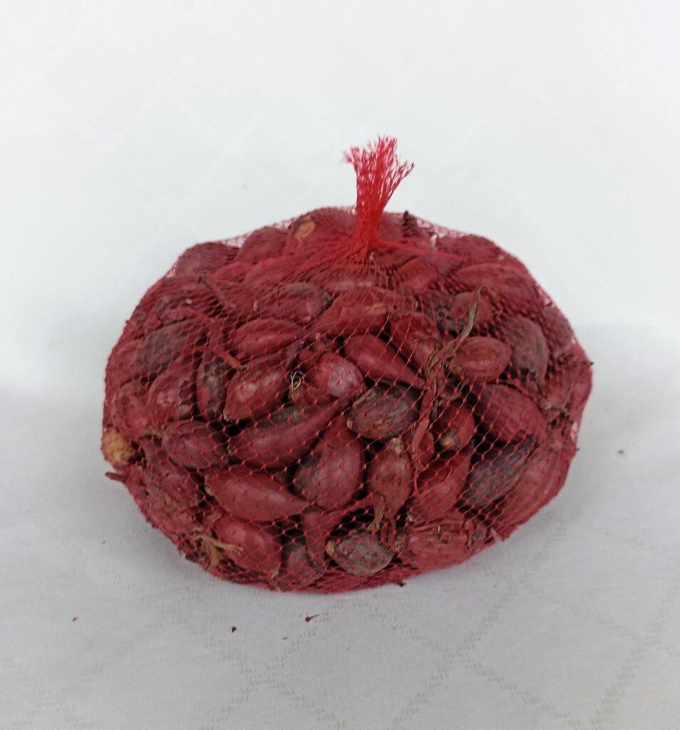Veislės svogūnai “Red baron”, 1 kg kaina ir informacija | Daržovių, uogų sėklos | pigu.lt
