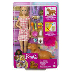 Набор игровой Barbie Новорожденные щенки HCK75 цена и информация | Игрушки для девочек | pigu.lt