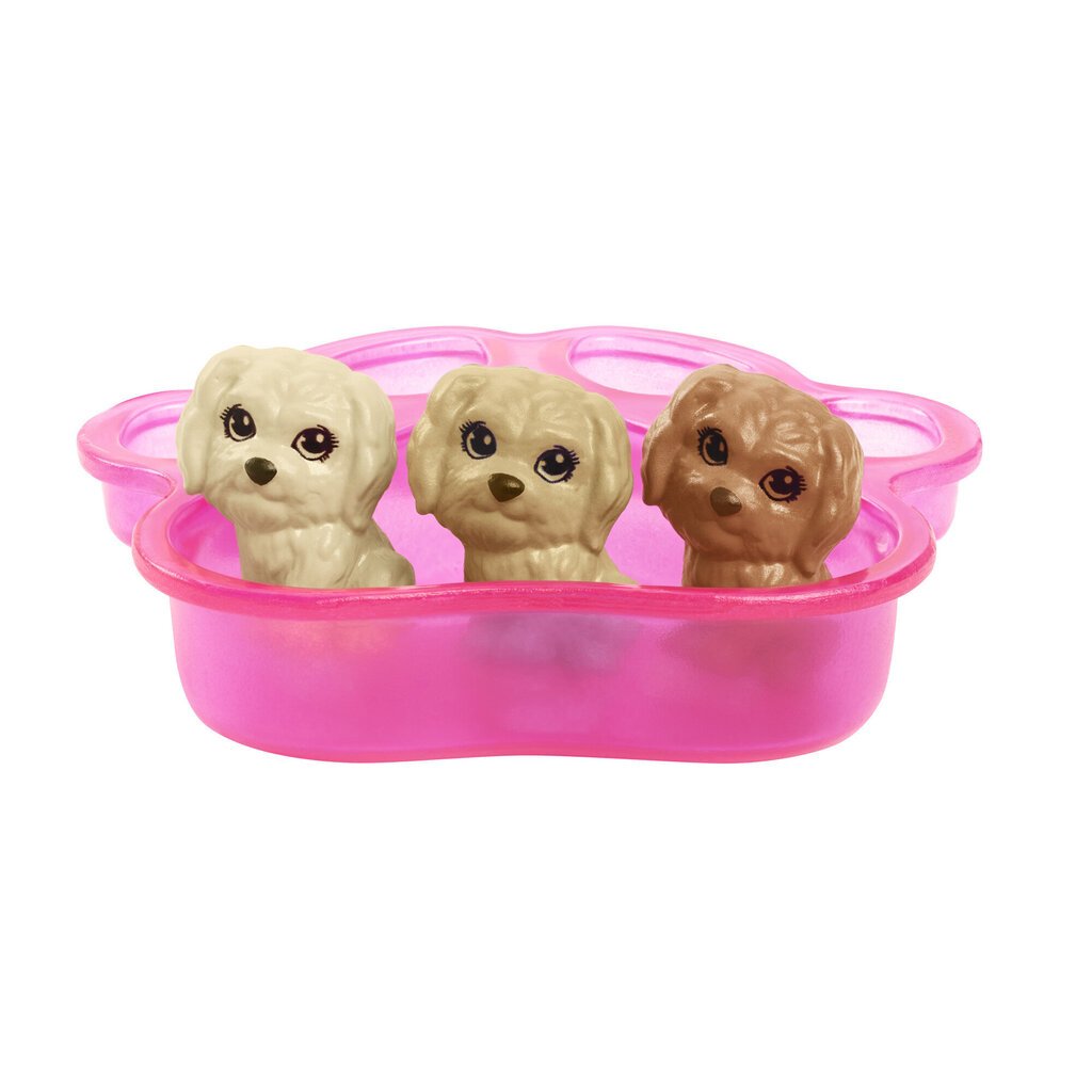 Lėlė Barbie su naujagimiais šuniukais, HCK75 цена и информация | Žaislai mergaitėms | pigu.lt