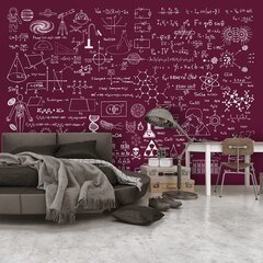 Фотообои - Science Formulas, 300x210 цена и информация | Фотообои | pigu.lt