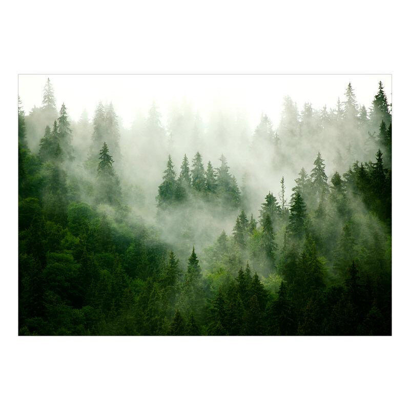 Fototapetas - Mountain Forest (Green) цена и информация | Fototapetai | pigu.lt