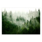 Fototapetas - Mountain Forest (Green) цена и информация | Fototapetai | pigu.lt