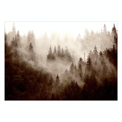 Фотообои - Mountain Forest (Sepia) цена и информация | Фотообои | pigu.lt