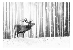 Fototapetas - Deer in the Snow (Black and White) kaina ir informacija | Fototapetai | pigu.lt