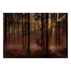 Фотообои - Mystical Forest - First Variant цена и информация | Фотообои | pigu.lt