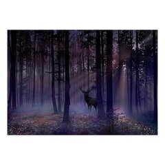 Фотообои - Mystical Forest - Second Variant цена и информация | Фотообои | pigu.lt