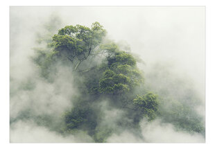 Fototapetas - Foggy Amazon kaina ir informacija | Fototapetai | pigu.lt