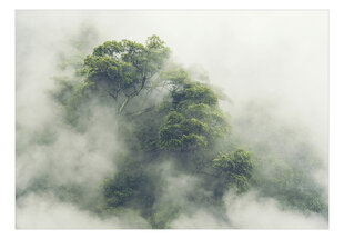 Fototapetas - Foggy Amazon, 196x140 kaina ir informacija | Fototapetai | pigu.lt