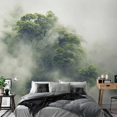 Fototapetas - Foggy Amazon, 245x175 kaina ir informacija | Fototapetai | pigu.lt