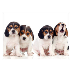 Fototapetas - Sad Puppies, 200x140 kaina ir informacija | Fototapetai | pigu.lt