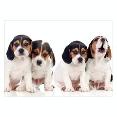 Fototapetas - Sad Puppies, 250x175 kaina ir informacija | Fototapetai | pigu.lt