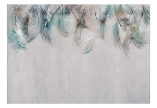 Fototapetas - Colourful Feathers kaina ir informacija | Fototapetai | pigu.lt