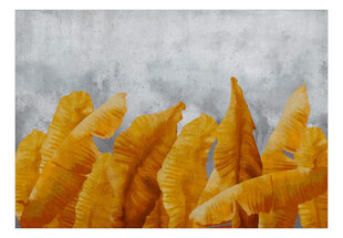 Fototapetas - Banana Leaves, 150x105 kaina ir informacija | Fototapetai | pigu.lt