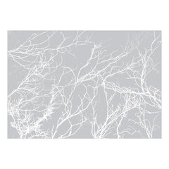 Fototapetas - White Trees, 150x105 kaina ir informacija | Fototapetai | pigu.lt