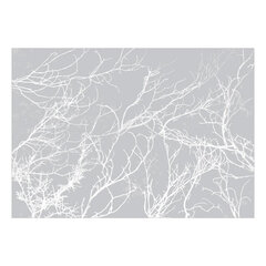 Фотообои - White Trees, 300x210 цена и информация | Фотообои | pigu.lt
