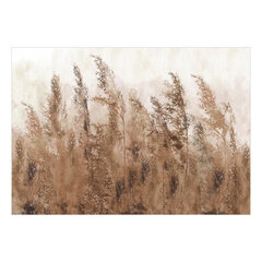 Fototapetas - Tall Grasses - Brown, 196x140 kaina ir informacija | Fototapetai | pigu.lt