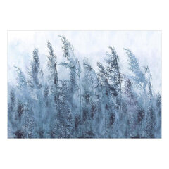 Fototapetas - Tall Grasses - Grey, 196x140 kaina ir informacija | Fototapetai | pigu.lt
