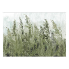 Fototapetas - Tall Grasses - Green, 147x105 kaina ir informacija | Fototapetai | pigu.lt