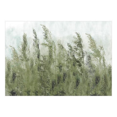 Fototapetas - Tall Grasses - Green, 245x175 kaina ir informacija | Fototapetai | pigu.lt