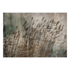 Fototapetas - Water Grasses, 150x105 kaina ir informacija | Fototapetai | pigu.lt