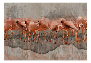 Fototapetas - Flamingo Lake, 150x105 kaina ir informacija | Fototapetai | pigu.lt