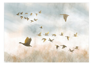 Fototapetas - Golden Geese, 200x140 kaina ir informacija | Fototapetai | pigu.lt