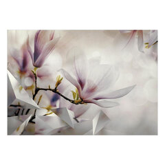 Фотообои - Subtle Magnolias - First Variant цена и информация | Фотообои | pigu.lt