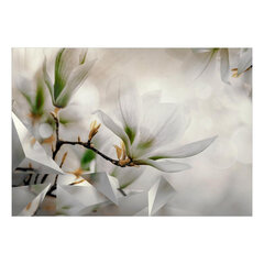 Фотообои - Subtle Magnolias - Second Variant цена и информация | Фотообои | pigu.lt