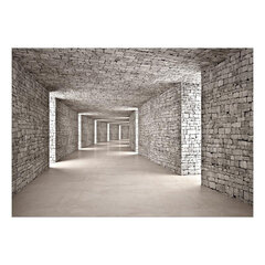 Fototapetas - Mysterious Tunnel, 147x105 kaina ir informacija | Fototapetai | pigu.lt