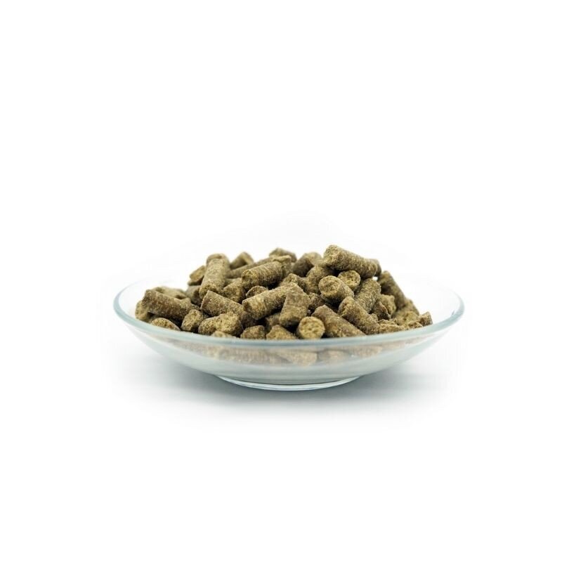 Bellfor begrūdis maistas šunims su vabzdžių baltymais Naturgut-Schmaus 4 kg (šalto spaudimo) kaina ir informacija | Sausas maistas šunims | pigu.lt
