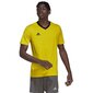 Sportiniai marškinėliai vyrams Adidas Entrada 22 M HI2122, geltoni kaina ir informacija | Sportinė apranga vyrams | pigu.lt