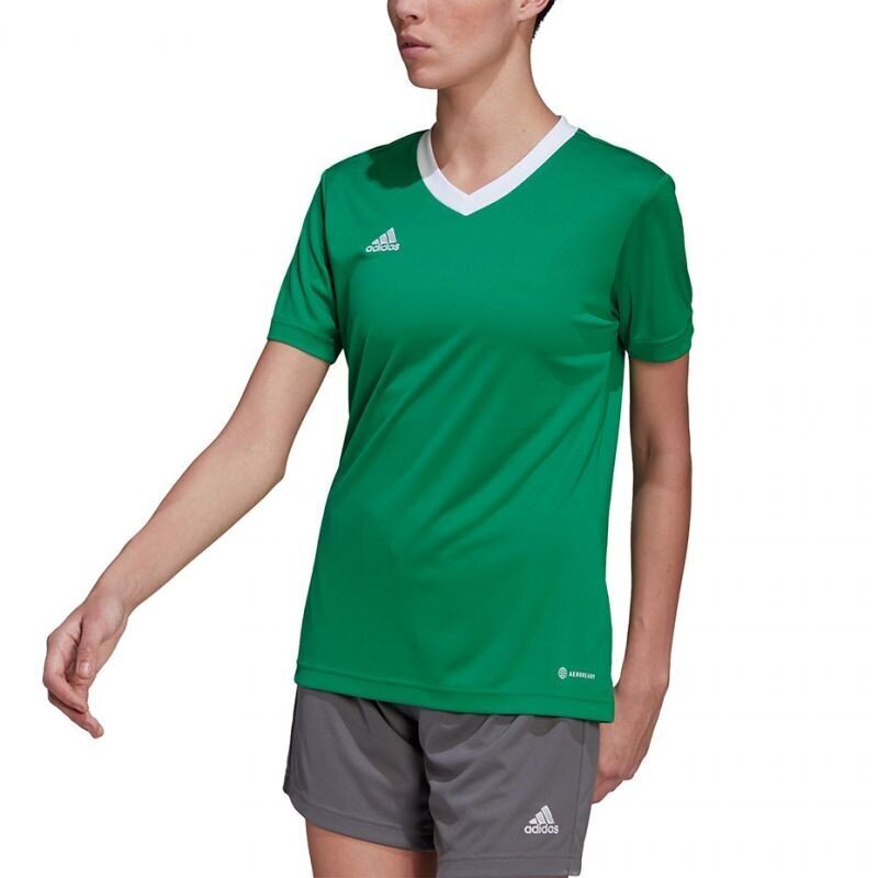 Sportiniai marškinėliai moterims Adidas Entrada 22 W HI2124, žali kaina ir informacija | Sportinė apranga moterims | pigu.lt