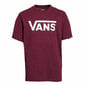 Marškinėliai su trumpomis rankovėmis Vans Drop V Boy-B S6437894 kaina ir informacija | Marškinėliai berniukams | pigu.lt