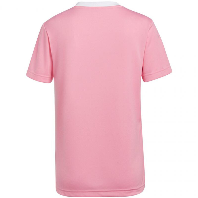 Marškinėliai moterims Adidas, rožiniai kaina ir informacija | Marškinėliai moterims | pigu.lt