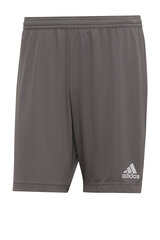 Шорты adidas SOLID CLX цена и информация | Мужские термобрюки, темно-синие, SMA61007 | pigu.lt