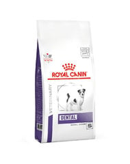 Royal Canin Small Dog dental mažų veislių šunims, 3,5 kg kaina ir informacija | Sausas maistas šunims | pigu.lt