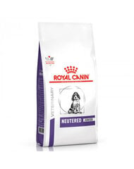 Royal Canin VET Neutered vidutinių veislių jauniems šuniukams, 3,5 kg kaina ir informacija | Sausas maistas šunims | pigu.lt