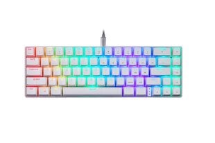 Проводная клавиатура Motospeed CK67 TKL с RGB-подсветкой цена и информация | Клавиатуры | pigu.lt