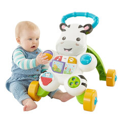 Машинка-каталка Mattel Зебра, белая (1+ год) цена и информация | Игрушки для малышей | pigu.lt