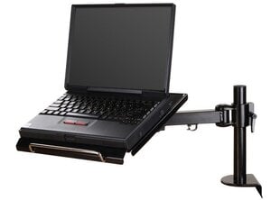 NB ACC DESK MOUNT 10-22"/NOTEBOOK-D100 NEOMOUNTS kaina ir informacija | Kompiuterių aušinimo ir kiti priedai | pigu.lt