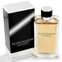 Davidoff Silver Shadow EDT для мужчин 100 мл цена и информация | Мужские духи | pigu.lt