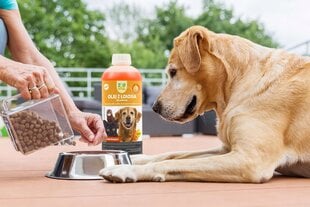 Lašišų aliejus šunims ir katėms, Omega-3 5L kaina ir informacija | Vitaminai, papildai, antiparazitinės priemonės šunims | pigu.lt