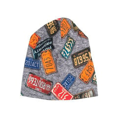 Тонкая шапка для мальчика цена и информация | Шапки, перчатки, шарфы для мальчиков | pigu.lt
